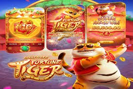 Live Casino Game 
